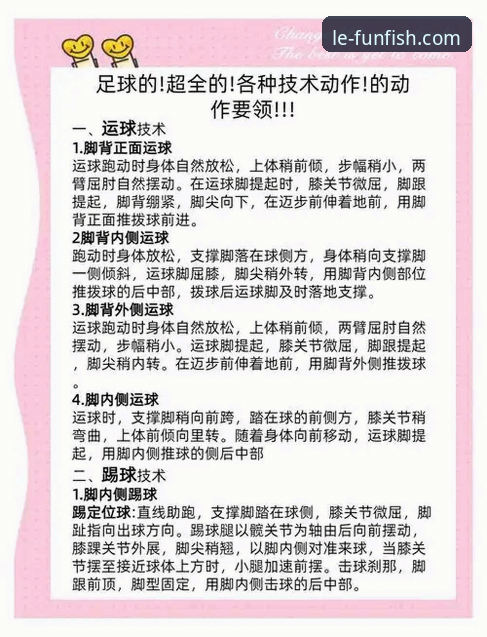 乐鱼体育观赛指南评测：从入门到精通的使用教程