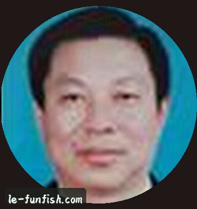 林晓雅